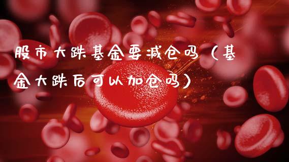 股市大跌基金要减仓吗（基金大跌后可以加仓吗）_https://www.ltsssb.com_国际财经_第1张