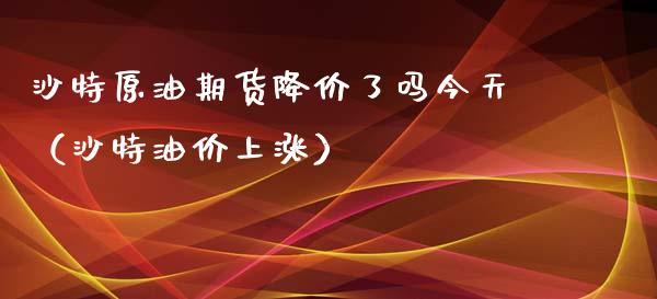 沙特原油期货降价了吗今天（沙特油价上涨）_https://www.ltsssb.com_期货行情_第1张
