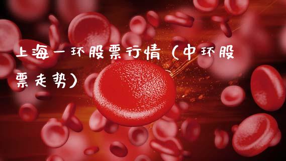 上海一环股票行情（中环股票走势）_https://www.ltsssb.com_股市分析_第1张