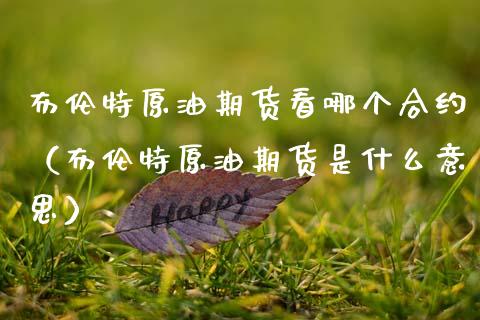 布伦特原油期货看哪个合约（布伦特原油期货是什么意思）_https://www.ltsssb.com_期货密码_第1张
