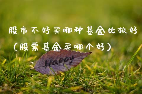 股市不好买哪种基金比较好（股票基金买哪个好）_https://www.ltsssb.com_国际财经_第1张
