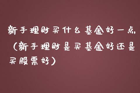 新手理财买什么基金好一点（新手理财是买基金好还是买股票好）_https://www.ltsssb.com_基金频道_第1张