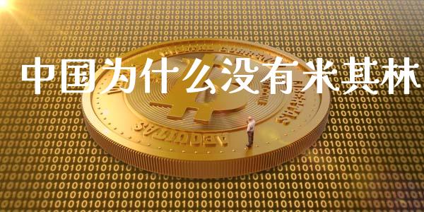 中国为什么没有米其林_https://www.ltsssb.com_新股数据_第1张