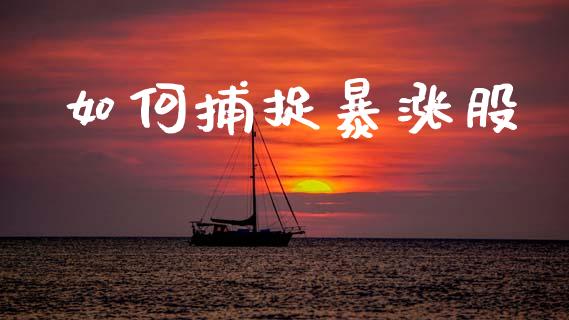 如何捕捉暴涨股_https://www.ltsssb.com_新股数据_第1张