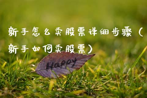 新手怎么卖股票详细步骤（新手如何卖股票）_https://www.ltsssb.com_新股数据_第1张