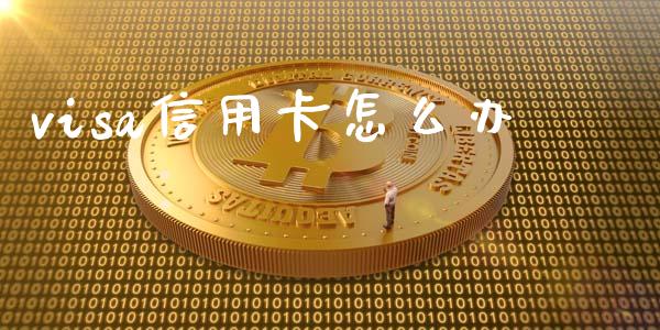 visa信用卡怎么办_https://www.ltsssb.com_期货在线_第1张