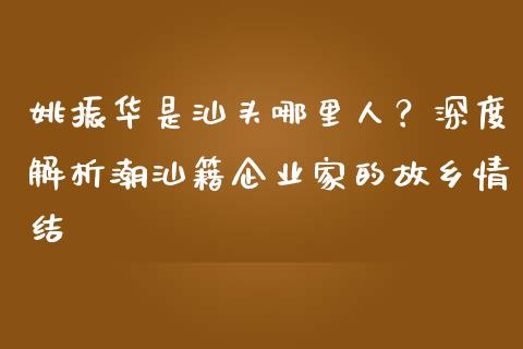 姚振华是汕头哪里人？深度解析潮汕籍企业家的故乡情结_https://www.ltsssb.com_股票理论_第1张