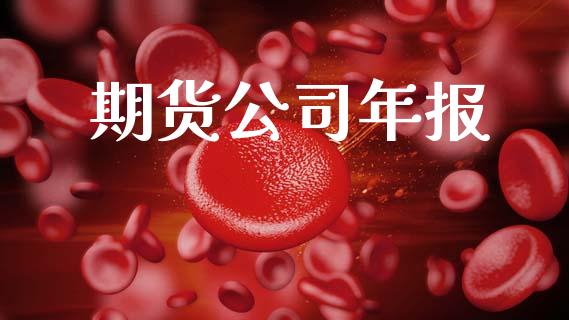 期货公司年报_https://www.ltsssb.com_国际财经_第1张