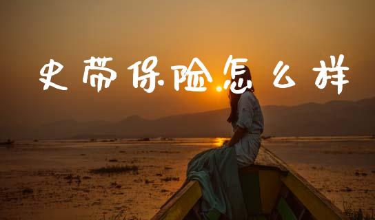 史带保险怎么样_https://www.ltsssb.com_期货在线_第1张