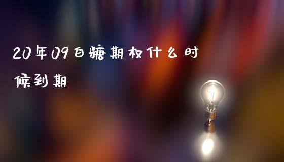 20年09白糖期权什么时候到期_https://www.ltsssb.com_基金频道_第1张