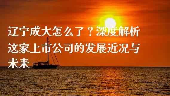 辽宁成大怎么了？深度解析这家上市公司的发展近况与未来_https://www.ltsssb.com_期货密码_第1张