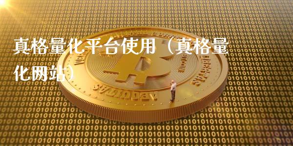 真格量化平台使用（真格量化网站）_https://www.ltsssb.com_期货密码_第1张