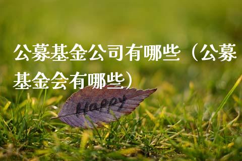 公募基金公司有哪些（公募基金会有哪些）_https://www.ltsssb.com_基金频道_第1张