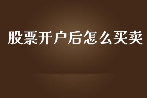 股票开户后怎么买卖_期货在线_第1张_IT财经网 股票开户后怎么买卖_https://www.ltsssb.com_期货在线_第1张