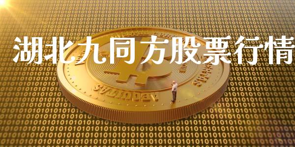 湖北九同方股票行情_https://www.ltsssb.com_股市分析_第1张