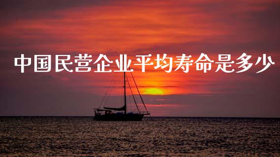 中国民营企业平均寿命是多少_https://www.ltsssb.com_期货密码_第1张