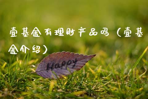 壹基金有理财产品吗（壹基金介绍）_https://www.ltsssb.com_基金频道_第1张