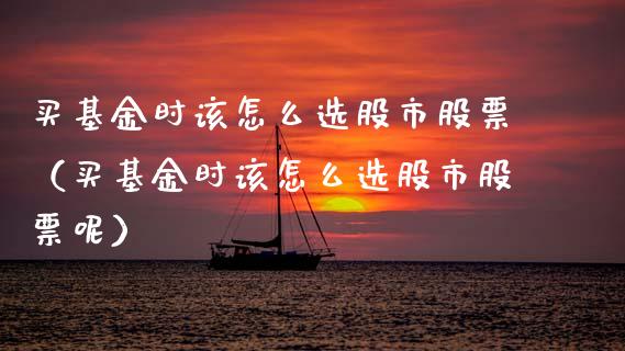 买基金时该怎么选股市股票（买基金时该怎么选股市股票呢）_https://www.ltsssb.com_基金频道_第1张