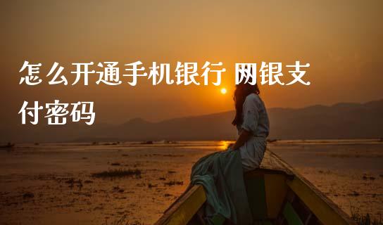 怎么开通手机银行 网银支付密码_https://www.ltsssb.com_期货密码_第1张