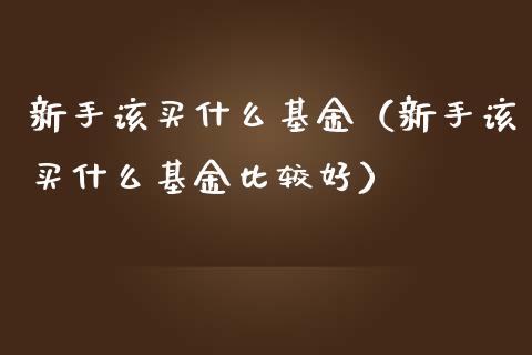 新手该买什么基金（新手该买什么基金比较好）_https://www.ltsssb.com_基金频道_第1张