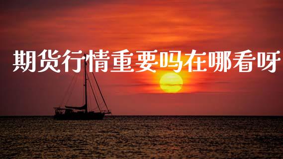 期货行情重要吗在哪看呀_https://www.ltsssb.com_期货在线_第1张