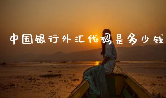 中国银行外汇代码是多少钱_https://www.ltsssb.com_股票理论_第1张