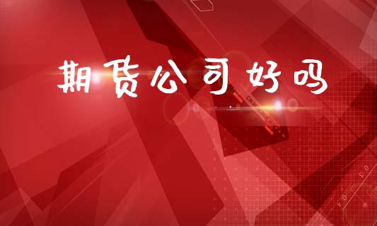 期货公司好吗_https://www.ltsssb.com_国际财经_第1张
