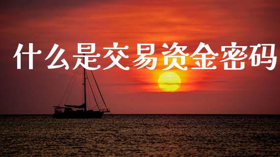 什么是交易资金密码_https://www.ltsssb.com_国际财经_第1张