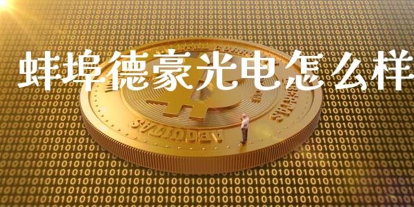 蚌埠德豪光电怎么样_https://www.ltsssb.com_基金频道_第1张