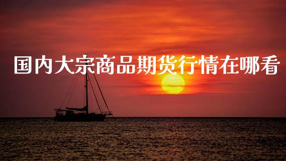 国内大宗商品期货行情在哪看_https://www.ltsssb.com_期货行情_第1张
