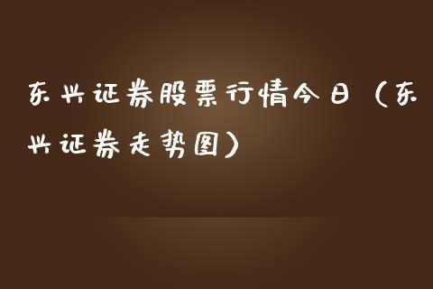 东兴证券股票行情今日（东兴证券走势图）_https://www.ltsssb.com_股市分析_第1张