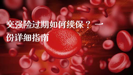 交强险过期如何续保？ 一份详细指南_https://www.ltsssb.com_股票理论_第1张