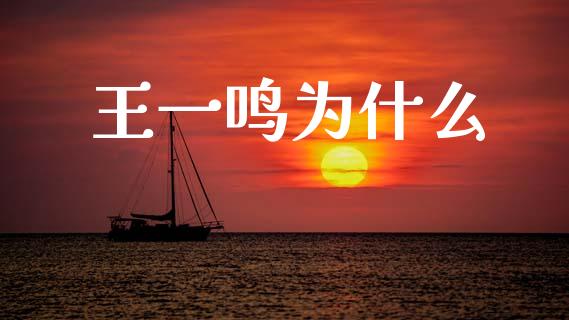 王一鸣为什么_https://www.ltsssb.com_国际财经_第1张