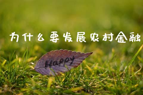 为什么要发展农村金融_https://www.ltsssb.com_国际财经_第1张
