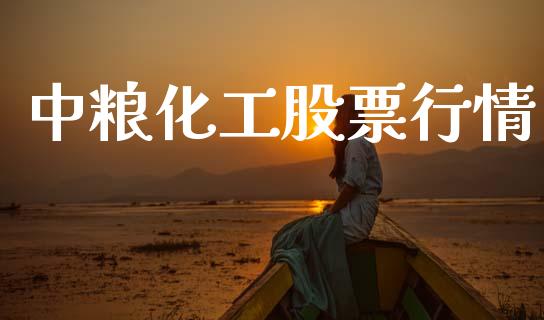 中粮化工股票行情_https://www.ltsssb.com_股市分析_第1张