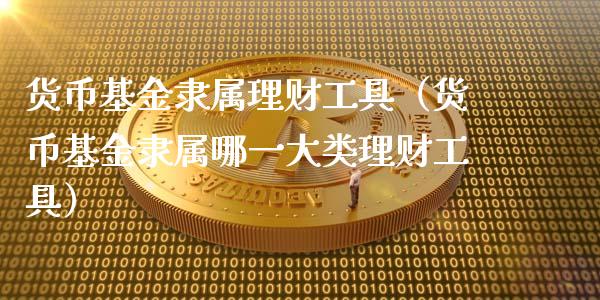 货币基金隶属理财工具（货币基金隶属哪一大类理财工具）_https://www.ltsssb.com_基金频道_第1张