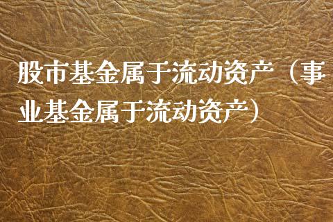 股市基金属于流动资产（事业基金属于流动资产）_https://www.ltsssb.com_国际财经_第1张