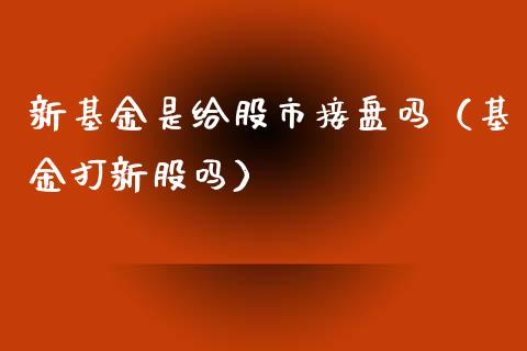 新基金是给股市接盘吗（基金打新股吗）_https://www.ltsssb.com_国际财经_第1张