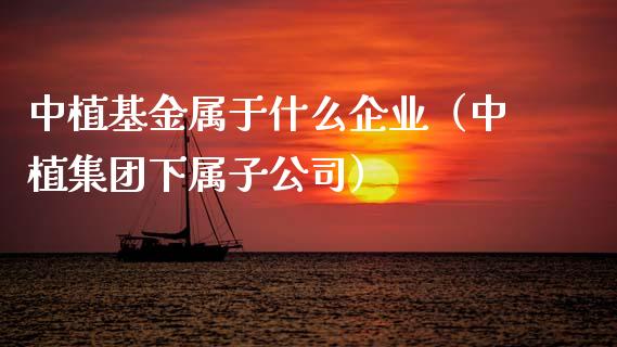 中植基金属于什么企业（中植集团下属子公司）_https://www.ltsssb.com_基金频道_第1张
