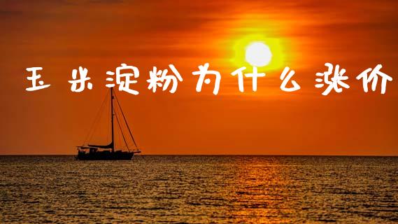 玉米淀粉为什么涨价_https://www.ltsssb.com_期货密码_第1张