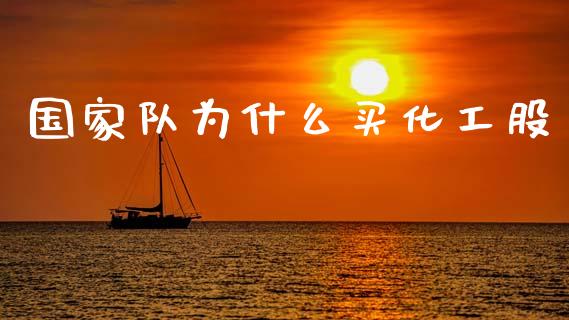 国家队为什么买化工股_https://www.ltsssb.com_期货在线_第1张
