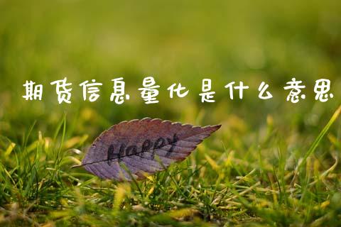期货信息量化是什么意思_国际财经_第1张_IT财经网 期货信息量化是什么意思_https://www.ltsssb.com_国际财经_第1张