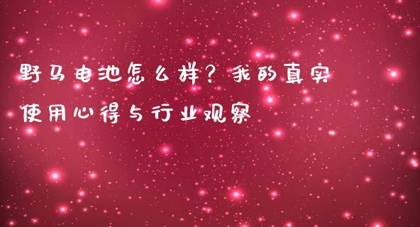 野马电池怎么样？我的真实使用心得与行业观察_https://www.ltsssb.com_期货密码_第1张