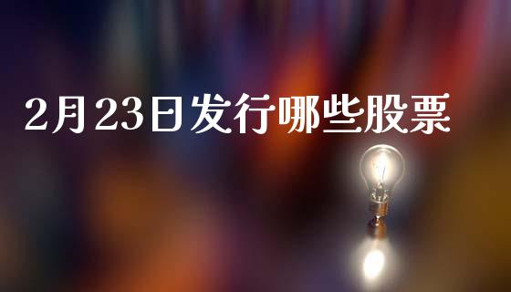 2月23日发行哪些股票_https://www.ltsssb.com_期货密码_第1张