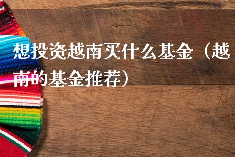 想投资越南买什么基金（越南的基金推荐）_https://www.ltsssb.com_国际财经_第1张