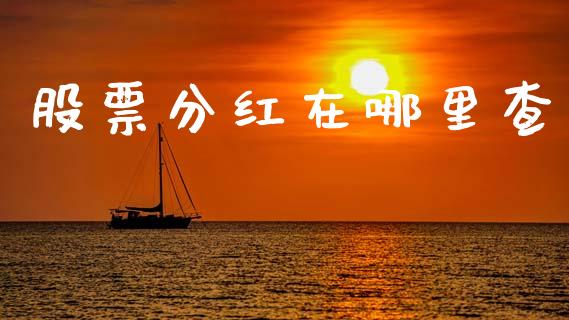 股票分红在哪里查_https://www.ltsssb.com_新股数据_第1张
