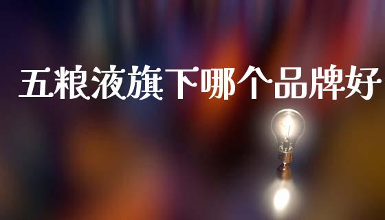 五粮液旗下哪个品牌好_https://www.ltsssb.com_期货行情_第1张