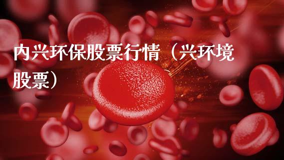 内兴环保股票行情（兴环境股票）_https://www.ltsssb.com_新股数据_第1张