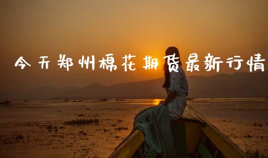 今天郑州棉花期货最新行情_https://www.ltsssb.com_期货在线_第1张