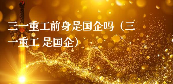 三一重工前身是国企吗（三一重工 是国企）_https://www.ltsssb.com_新股数据_第1张